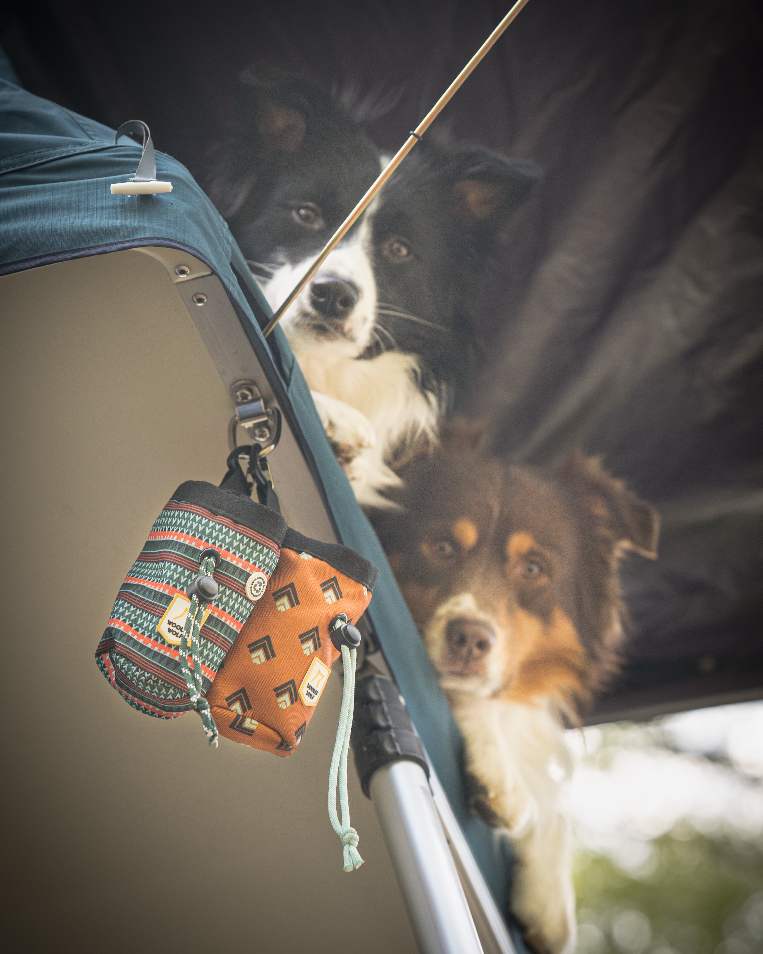 Dog Treat Bags