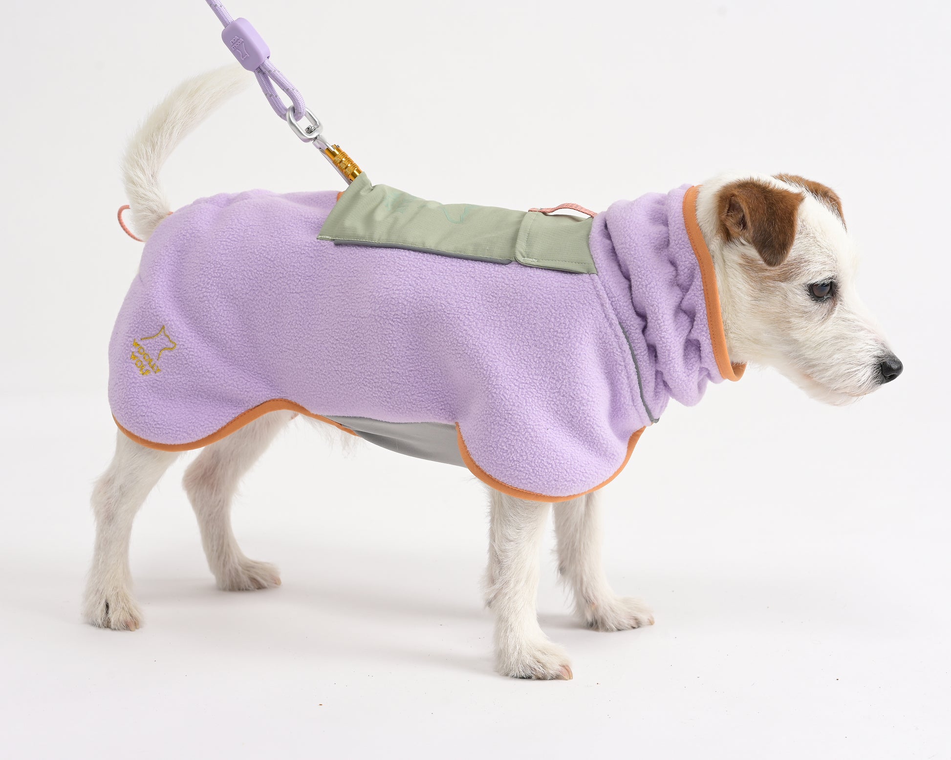 A small white dog with brown spots is wearing a light purple fleece coat with orange trim and a green pocket. The dog is on a leash and facing right against a plain white background.