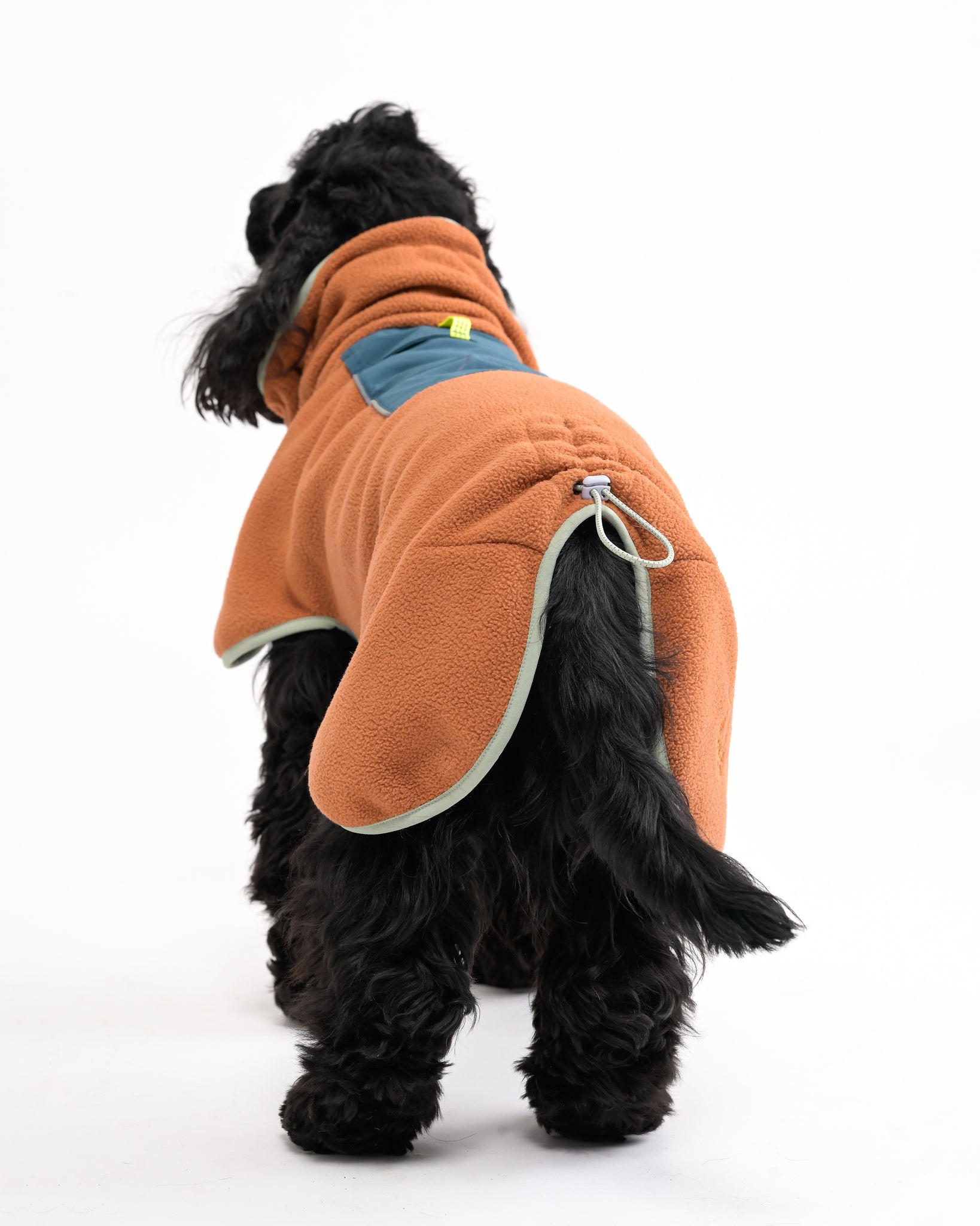 A black dog wearing an orange fleece jacket with light green trim and a small blue pocket stands facing away from the camera against a white background.