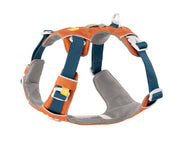 Orange and gray dog harness with blue adjustable straps and white plastic buckles, featuring a handle and a small yellow paw print tag. The harness is padded for comfort and designed for secure fit.