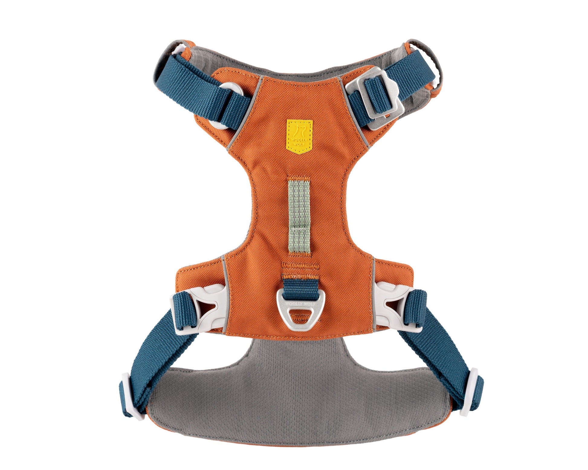 An orange and gray dog harness with blue adjustable straps, white buckles, and a metal D-ring for leash attachment, shown laid flat on a white background.