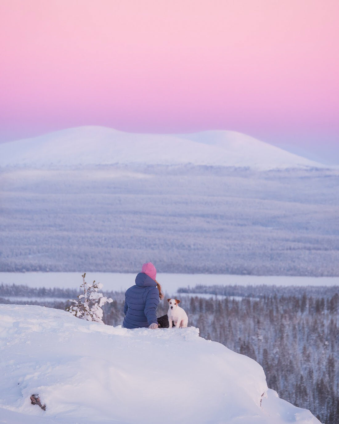 A person in a blue jacket and pink hat sits on a snowy hilltop with a small white dog, overlooking a vast snowy landscape and distant mountains under a pink and purple sky.
