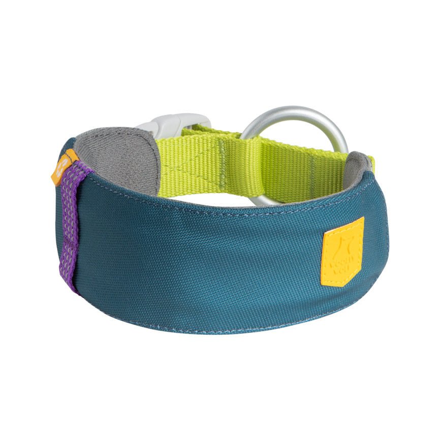 The Alpha 360 Dog Collar Deep Teal features a blue and lime green design with a metal ring, plastic buckle, purple accent, and yellow patch, shown against a white background.