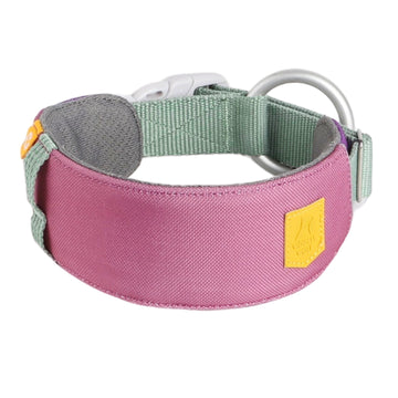 The Alpha 360 Dog Collar Mauve Mix is a pink and green adjustable collar with a yellow tag, gray buckle, and a large metal ring for leash attachment.