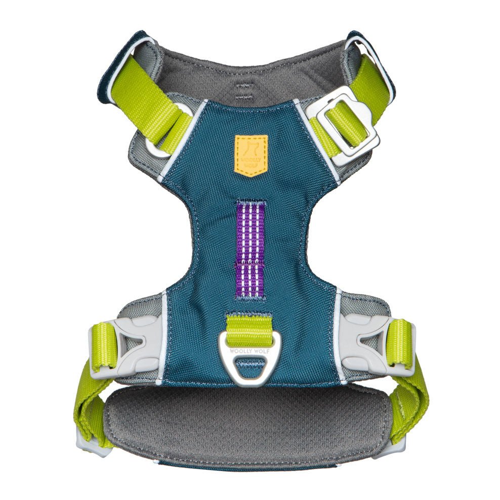 The Alpha 360 Dog Harness Deep Teal features teal, gray, and lime green padding, adjustable straps, metal buckles, a reinforced back handle, a purple patterned center strip, and a sturdy metal leash ring.
