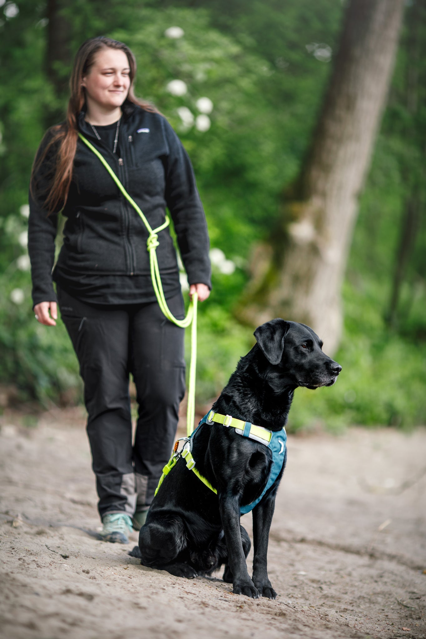 A woman walks outdoors on a sandy path with a black Labrador sitting beside her, wearing the Alpha 360 Dog Harness in Deep Teal, surrounded by green trees and plants.