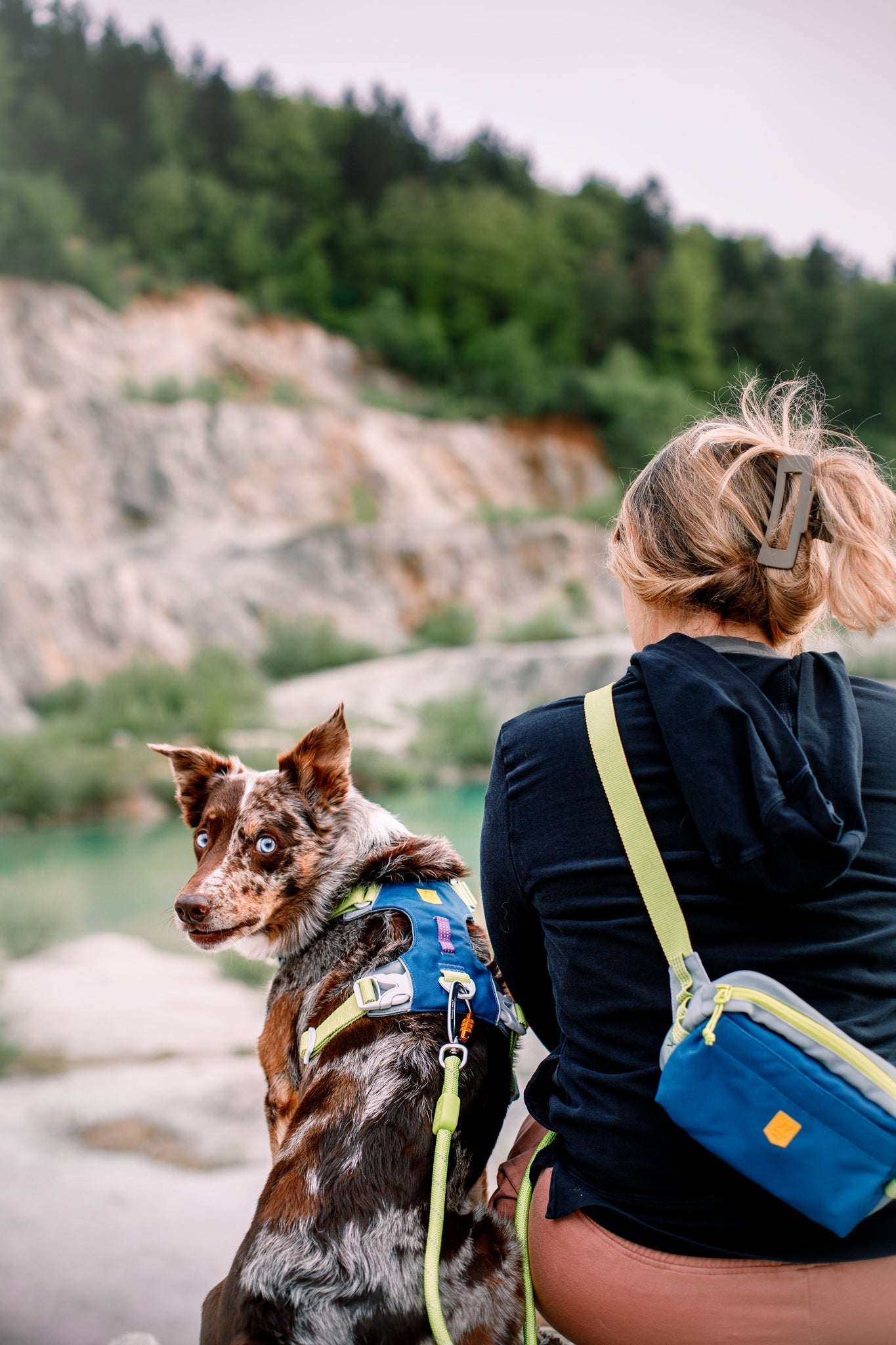A person with blonde hair in a ponytail sits outdoors facing away, wearing a black hoodie and blue crossbody bag. Next to them is a brown and white dog with blue eyes, wearing the Alpha 360 Dog Harness Deep Teal. Rocky landscape and trees behind.