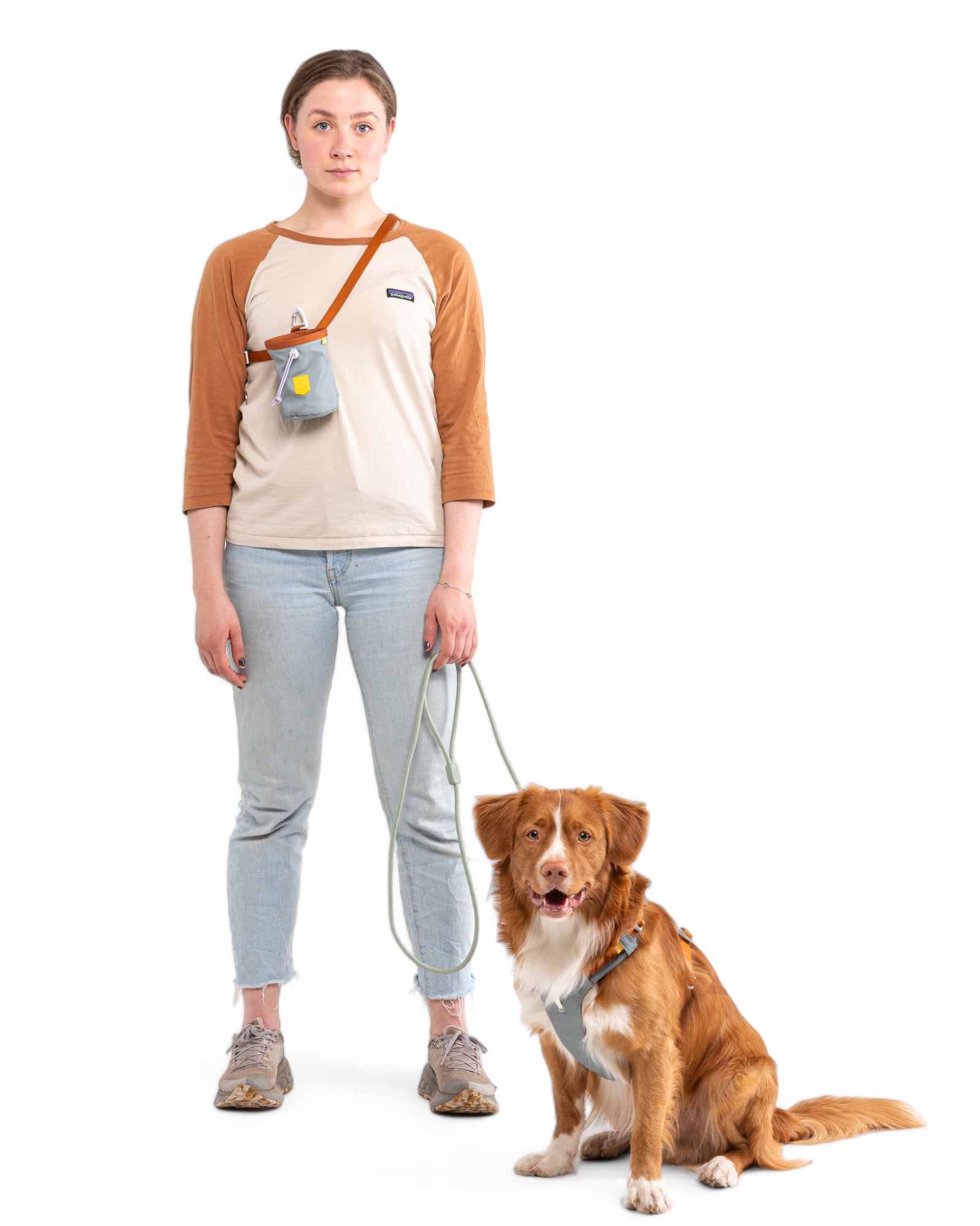 A person stands with a brown and white dog wearing the Alpha 360 Dog Harness in Glacier Green Mix. Both have neutral expressions against a white background.