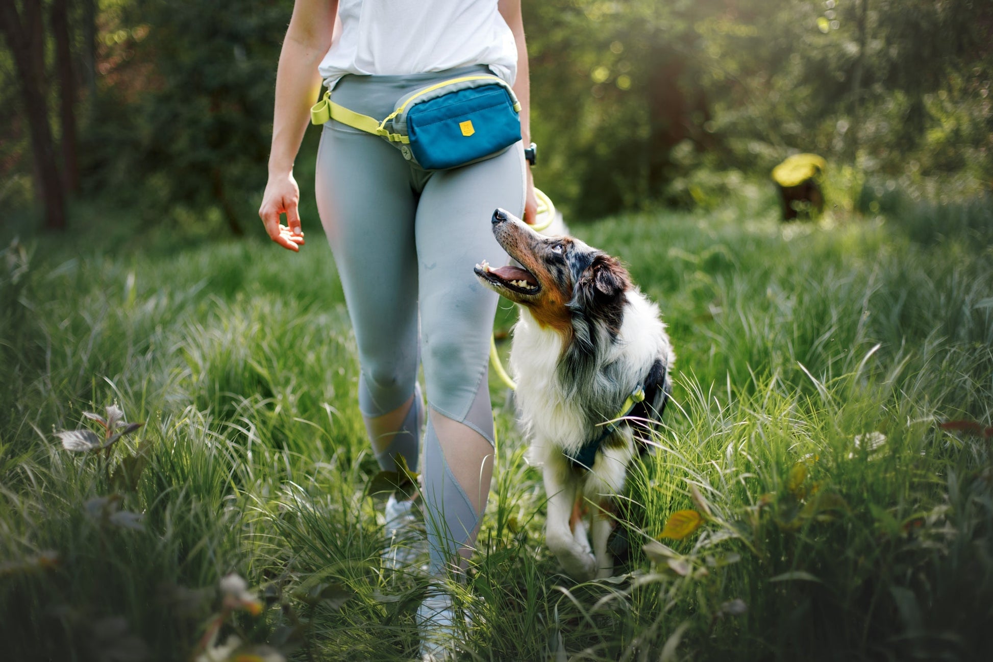 A person wearing light gray leggings and an Alpha 360 Hip Pack in Deep Teal walks through tall grass with a happy black, white, and brown dog looking up at them in a sunlit, green outdoor setting.