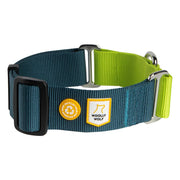 A Color Block Martingale Dog Collar in Deep Teal featuring blue and green colors, an adjustable fit with a black buckle, plus two patches: one with a paw print and the other reading Woolly Wolf.