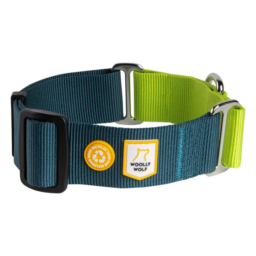 A Color Block Martingale Dog Collar in Deep Teal featuring blue and green colors, an adjustable fit with a black buckle, plus two patches: one with a paw print and the other reading Woolly Wolf.