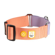 The Color Block Martingale Dog Collar Salmon Pink features woven fabric in peach and lavender, black metal hardware, and two small patches: one with the WOOLLY WOLF logo and one with a recycling symbol.