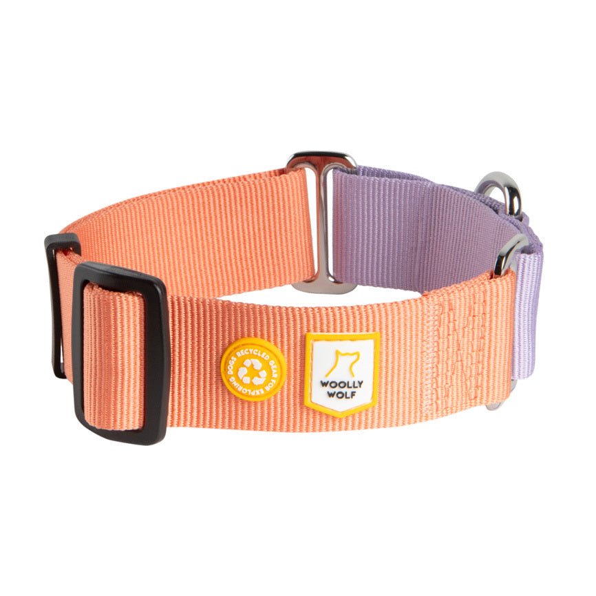 The Color Block Martingale Dog Collar Salmon Pink features woven fabric in peach and lavender, black metal hardware, and two small patches: one with the WOOLLY WOLF logo and one with a recycling symbol.