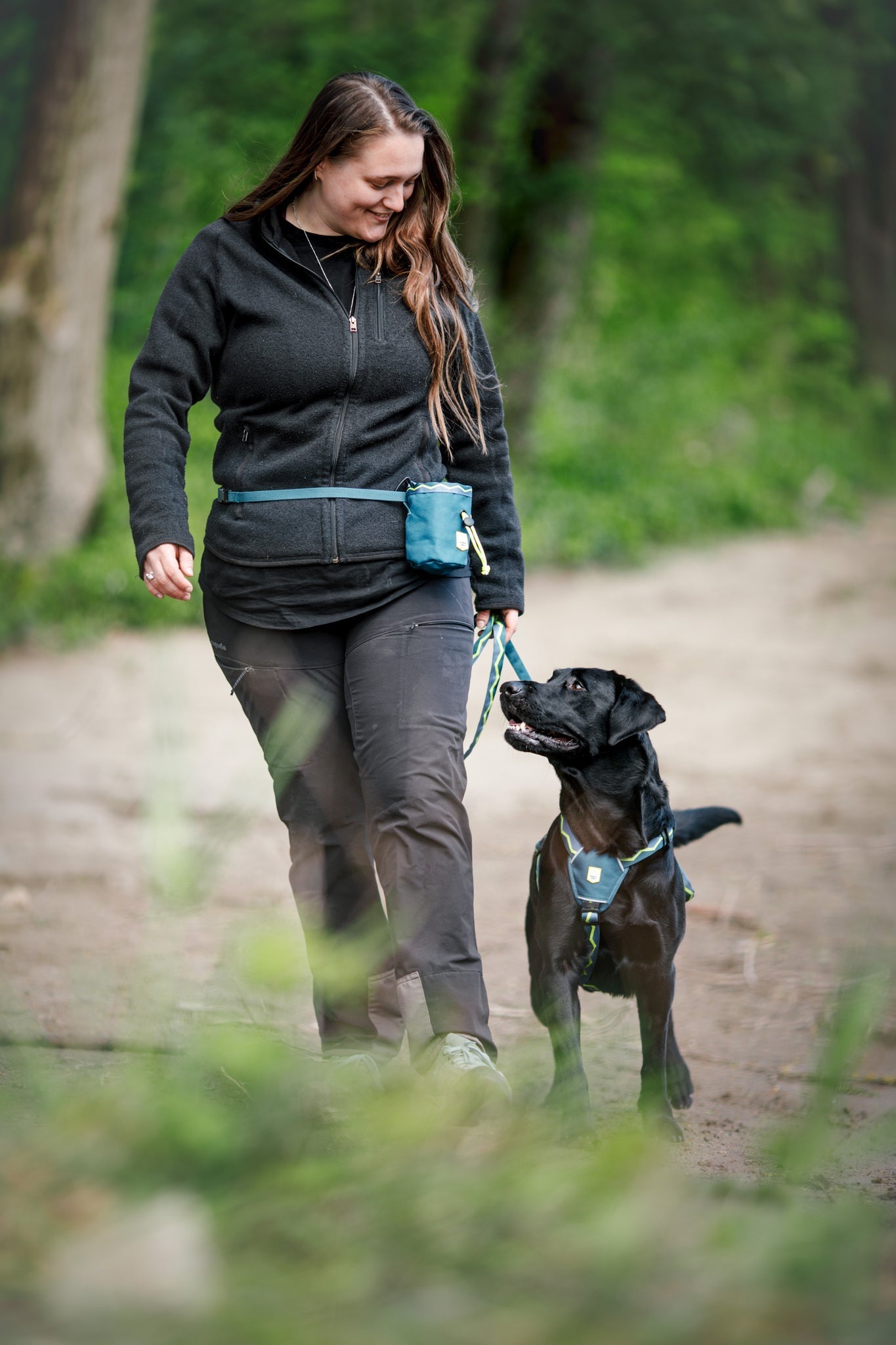 Horizon Dog Snack Bag