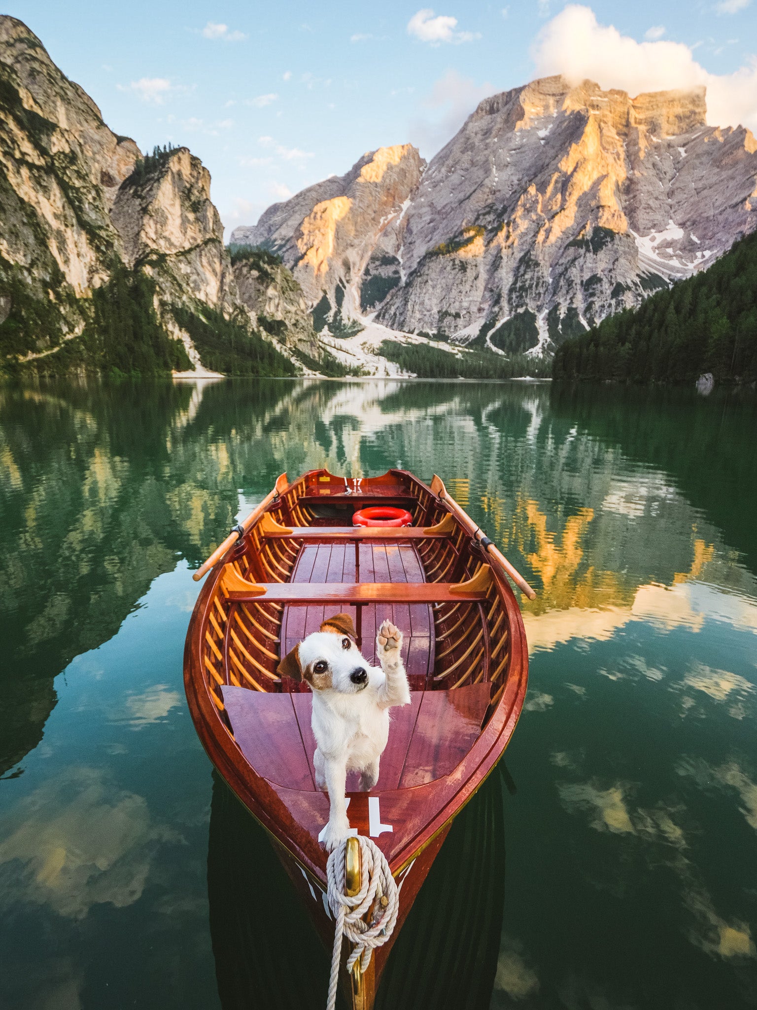 A small dog stands on the bow of a wooden boat floating on a calm lake, surrounded by tall mountains and trees at sunset, with clear reflections on the water.