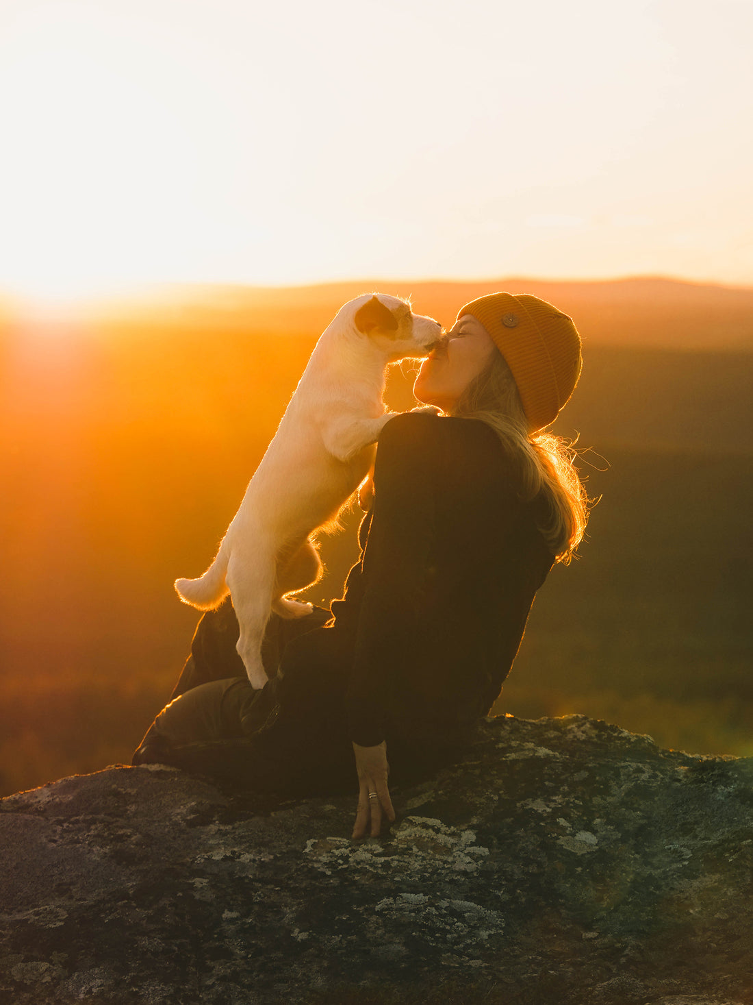 A person wearing a beanie sits on a rock at sunset while a cat stands with its front paws on their chest, touching noses affectionately. The warm sunlight creates a golden glow around them.
