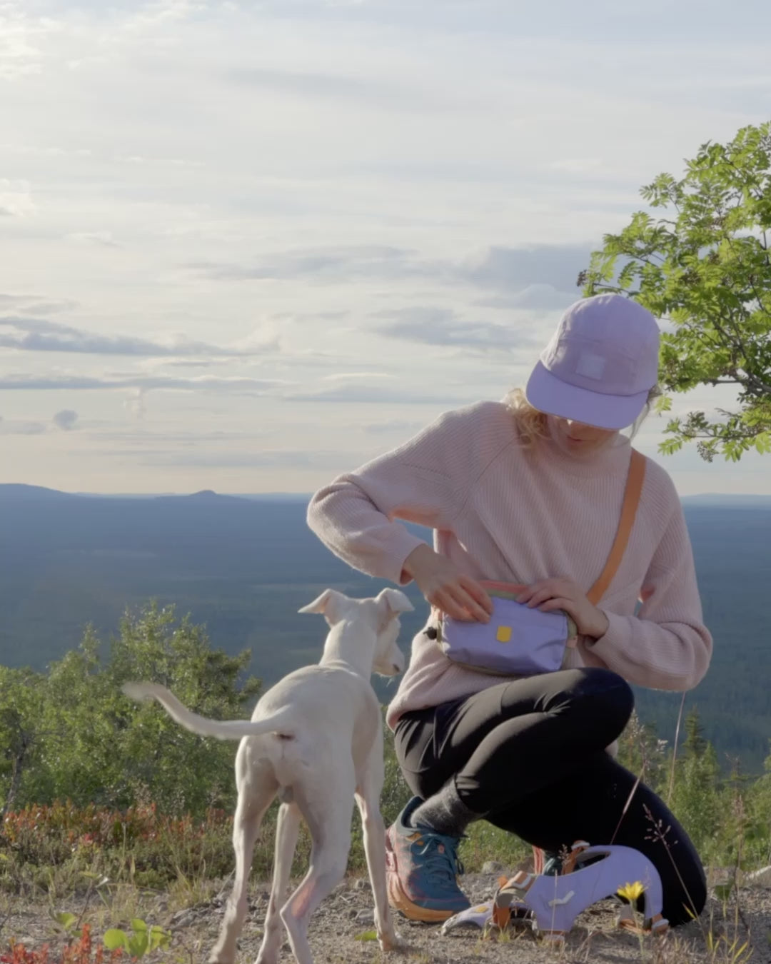 Lataa video: Alpha 360 Koiran Valjaat