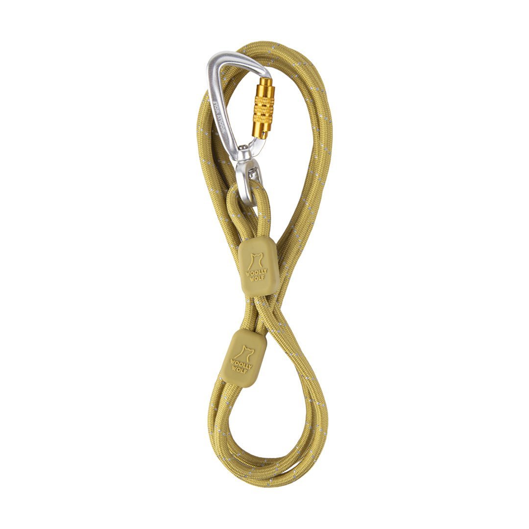 A thin pistachio-colored rope dog leash with two beige sleeves and a silver and gold locking carabiner, displayed on a white background.