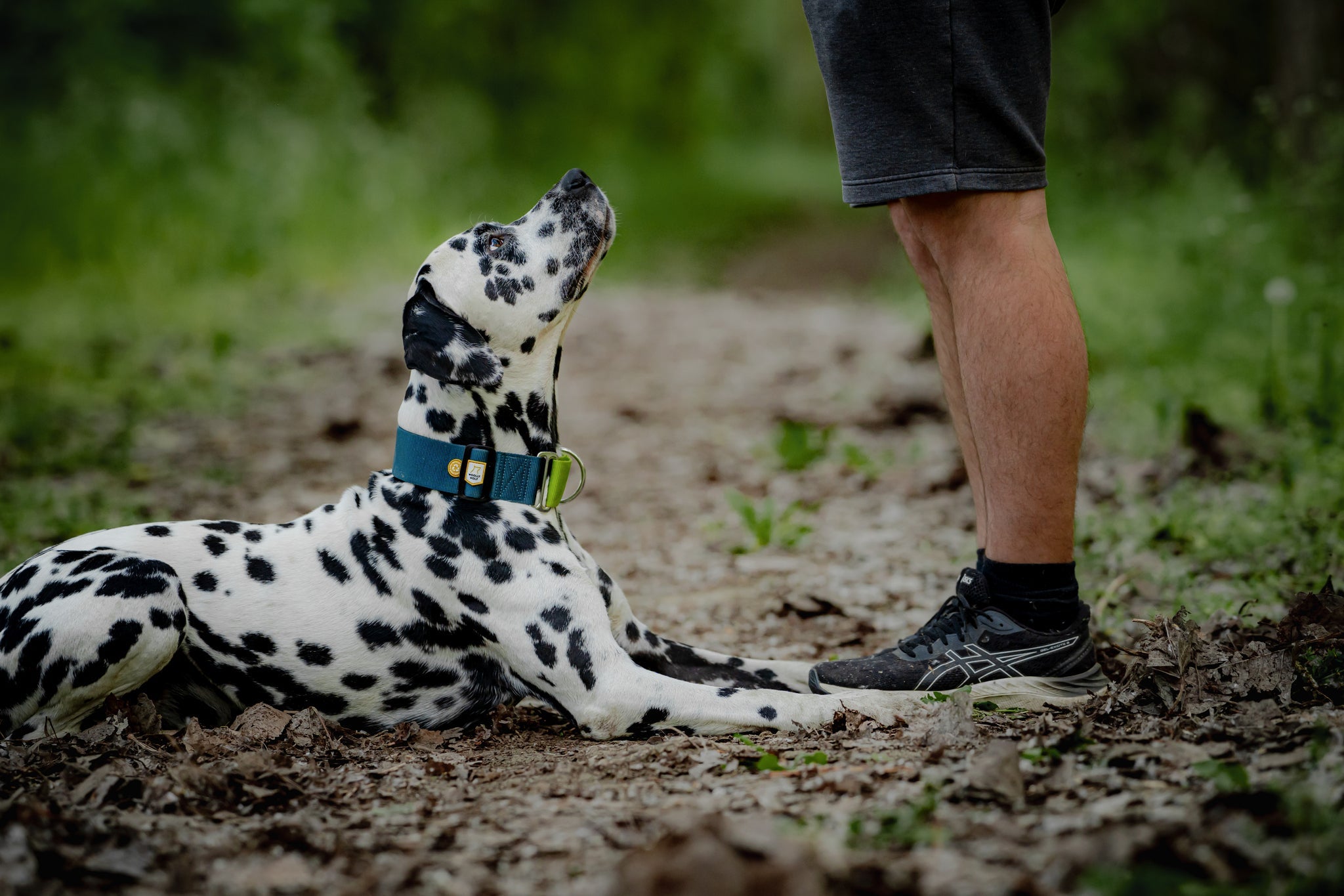 Martingale collars