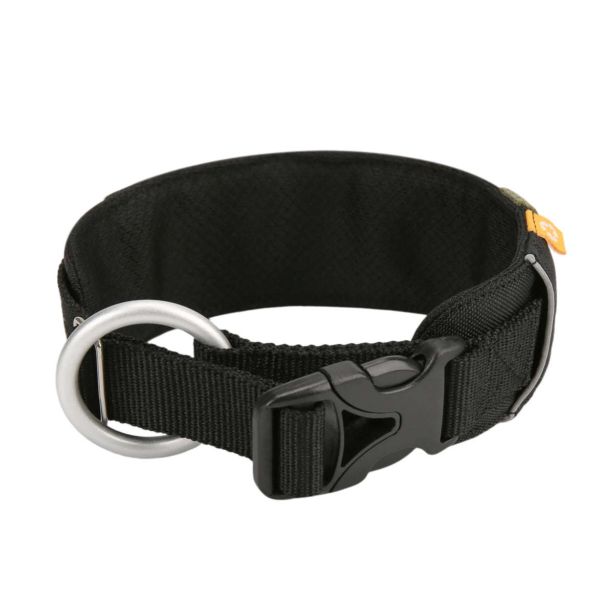Black nylon dog collar with a side-release buckle and metal D-ring.