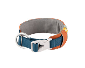 A blue and orange dog collar with a silver D-ring, grey inner padding, and a white plastic buckle, displayed on a white background.