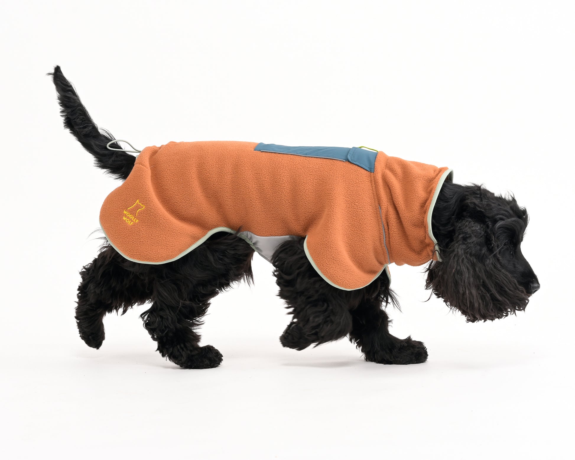 Dog wearing an orange fleece coat on a white background