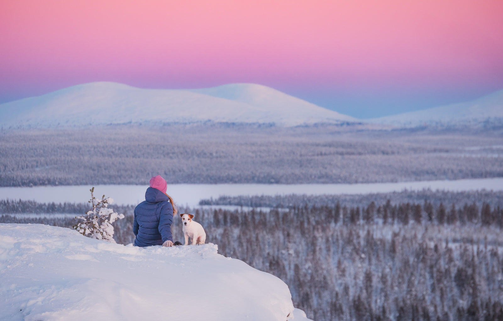 Person in winter clothing and a dog sit on snowy hilltop, overlooking a forest and mountains at sunset.