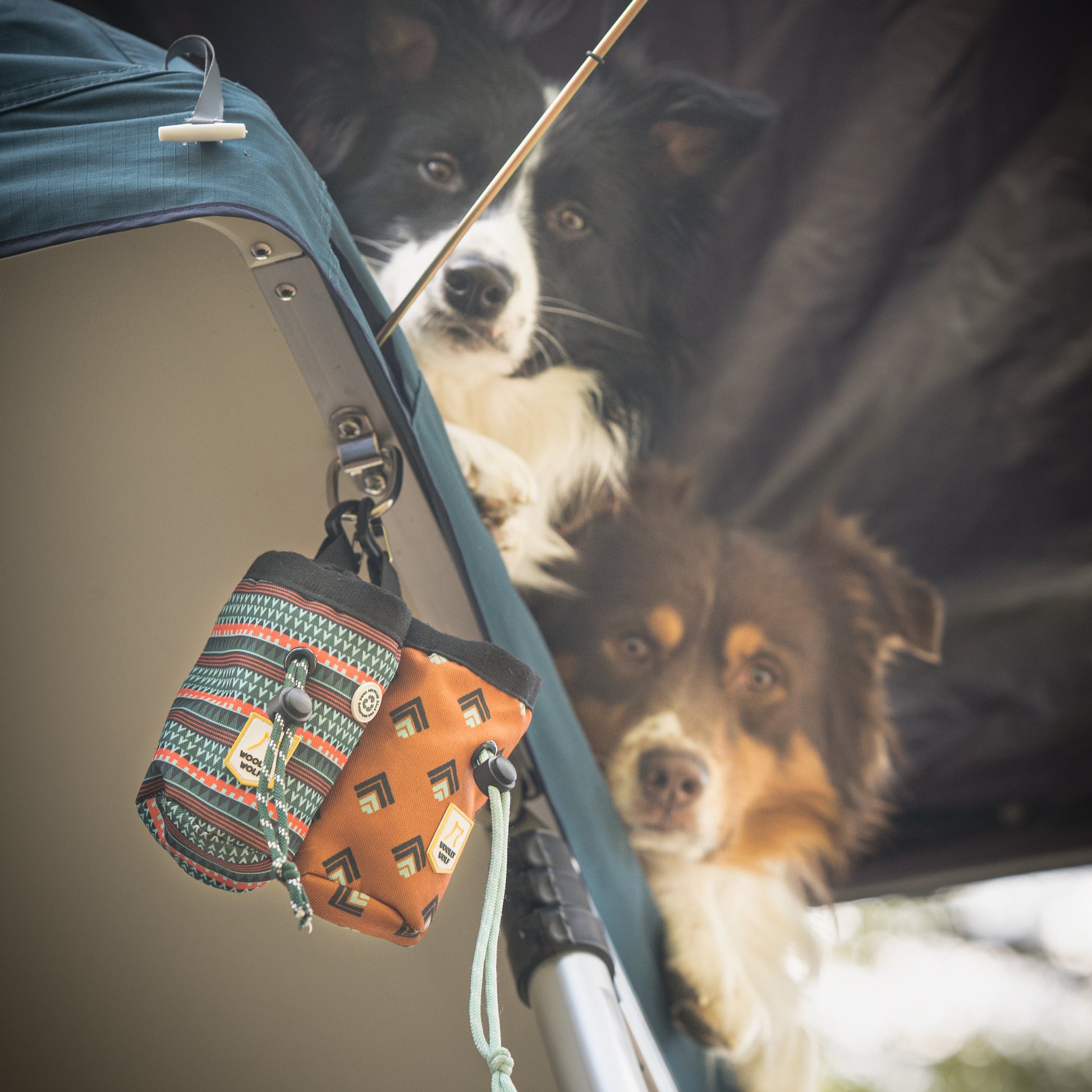 Two dogs peek out from a rooftop tent, with two patterned pouches hanging from a metal pole.