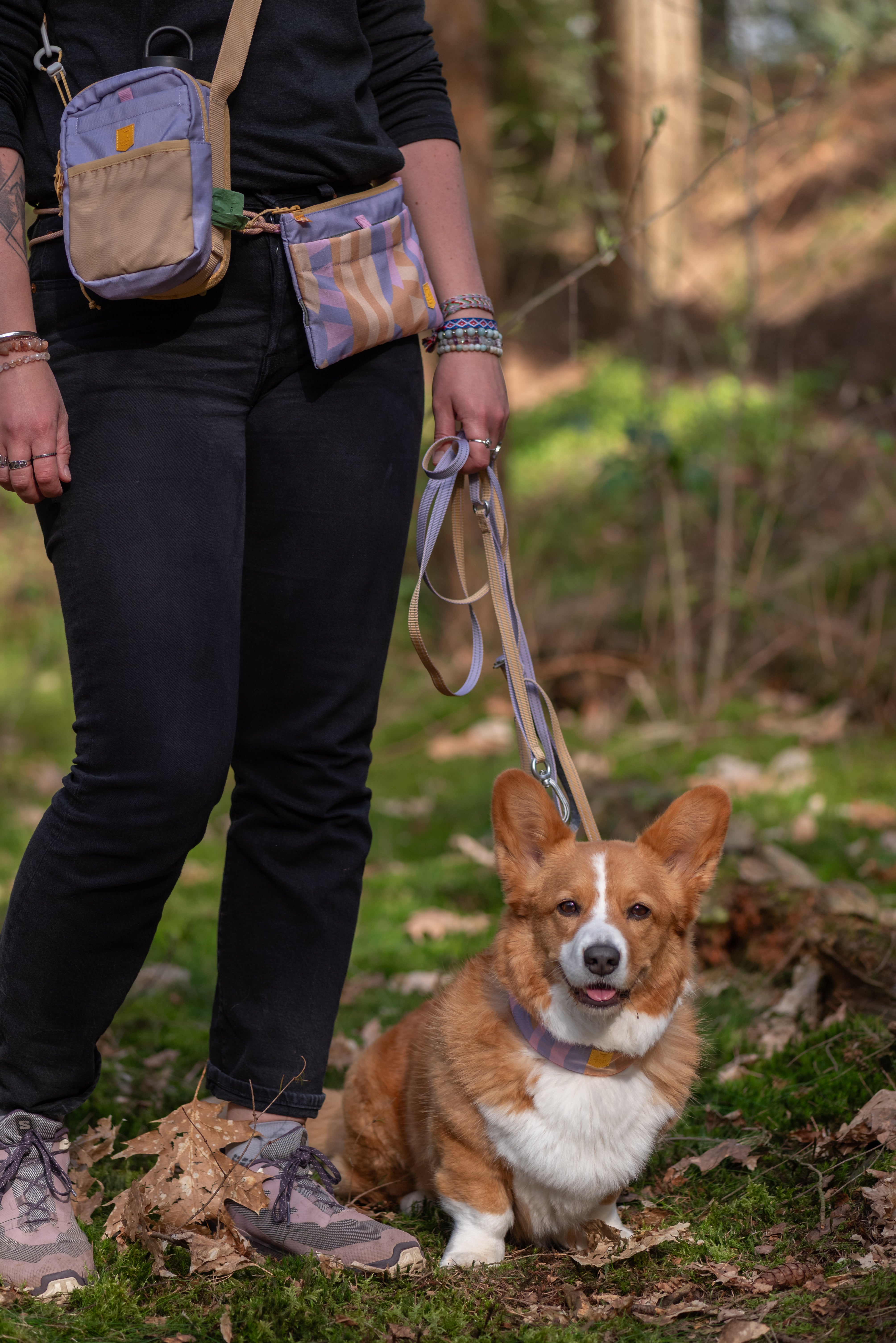 Person standing in a forest holding a leash, with a corgi sitting on the ground beside them.