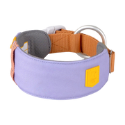 Wide lavender and tan dog collar with a large metal ring and buckle, shown on a white background.