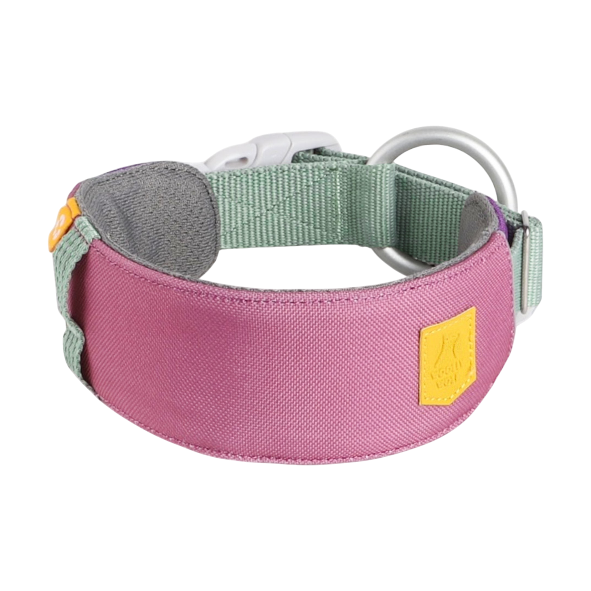 Wide pink and green dog collar with a metal ring, plastic buckle, and a small yellow patch on the side.
