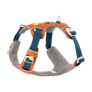 Orange and gray dog harness with blue adjustable straps and white plastic buckles on a white background.