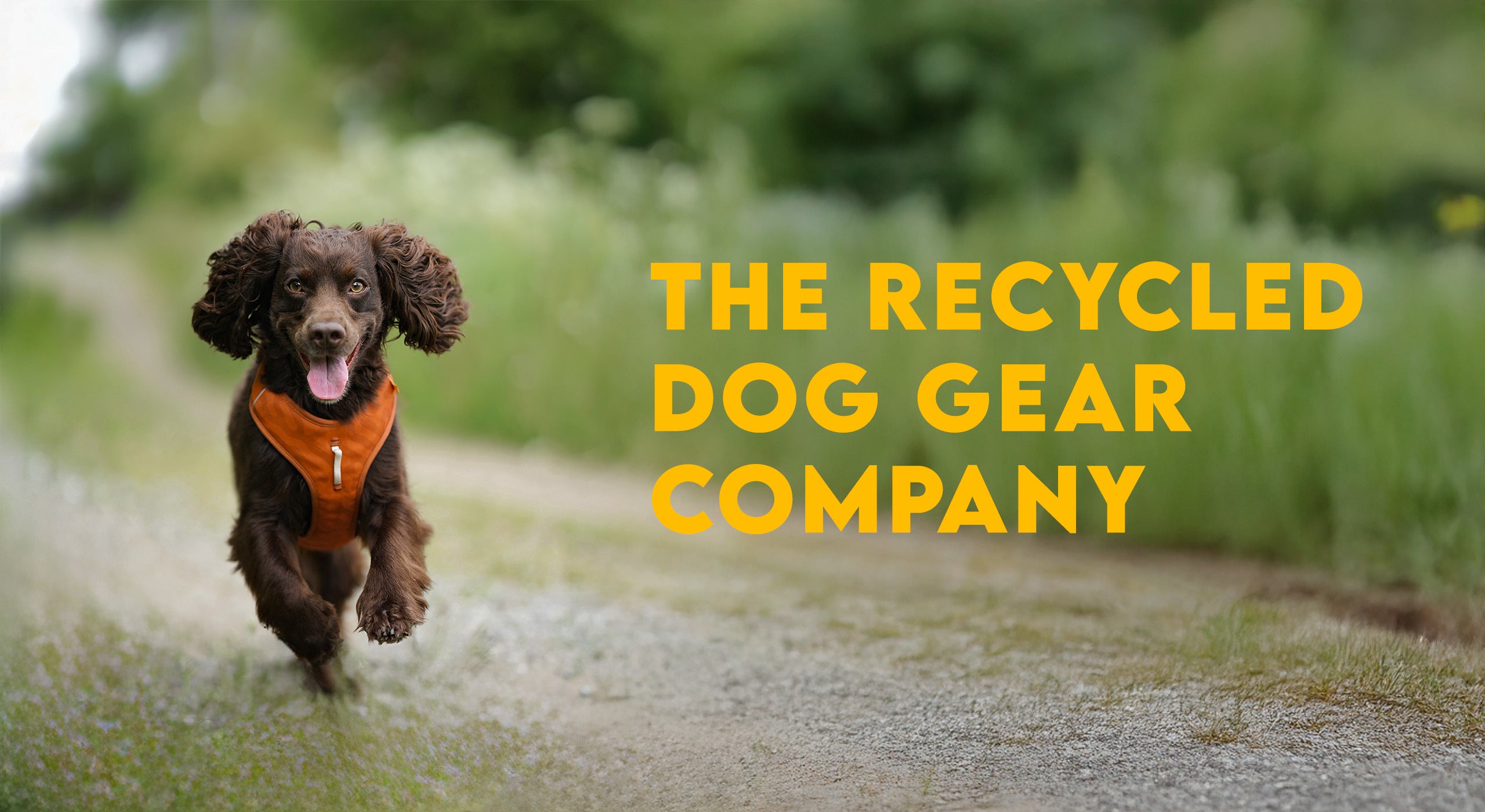 Brown dog wearing orange vest runs on a path; text reads The Recycled Dog Gear Company.
