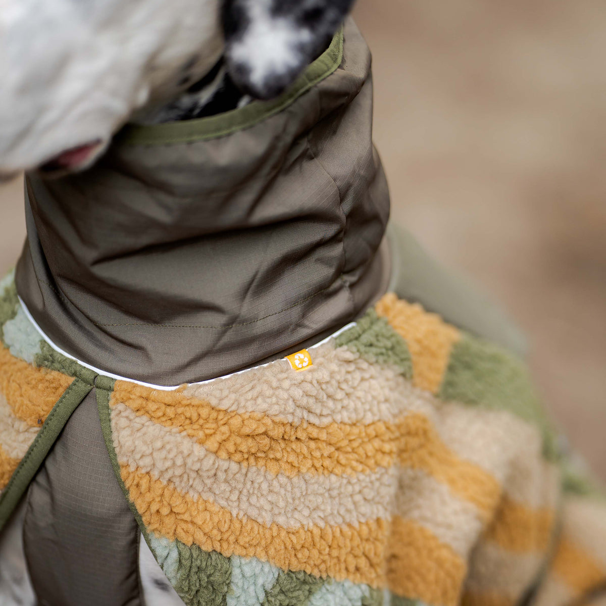 A dog wearing a tan and green patterned fleece jacket with a high collar.