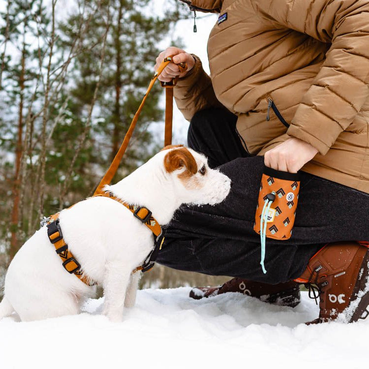 Sea to Summit Leash -